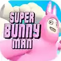 超级兔子人安卓手机版免费联机 图标