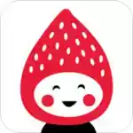 小草莓直播平台app 图标